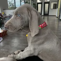 processed/8d0e9992-d210-4eb0-83b9-ee61c8e03161/facility/8399ee1b-9249-4fd9-bdd8-3a0b104b13d5