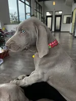 processed/8d0e9992-d210-4eb0-83b9-ee61c8e03161/facility/8399ee1b-9249-4fd9-bdd8-3a0b104b13d5