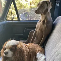 processed/8d0e9992-d210-4eb0-83b9-ee61c8e03161/facility/964cc4af-1320-4bf7-a52d-a5d24e472fd6