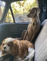 processed/8d0e9992-d210-4eb0-83b9-ee61c8e03161/facility/964cc4af-1320-4bf7-a52d-a5d24e472fd6