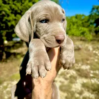 processed/8d0e9992-d210-4eb0-83b9-ee61c8e03161/facility/9c501d06-1059-4c21-8e9e-7e4504b19ee5