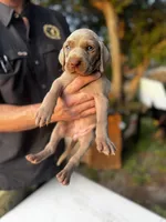 processed/8d0e9992-d210-4eb0-83b9-ee61c8e03161/listing/b83aa72c-b7ee-4756-a471-4ab20b2dd65d/e55462dc-4ea1-4097-b213-f0bb0e4dfa54