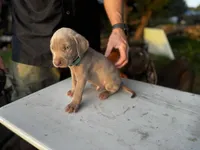 processed/8d0e9992-d210-4eb0-83b9-ee61c8e03161/listing/fd43a241-7055-4b71-a39f-4eee38e17095/cc2439e4-c3a5-4abe-9f64-0e45a3b404c2