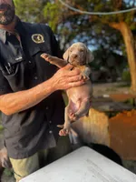 processed/8d0e9992-d210-4eb0-83b9-ee61c8e03161/listing/fd43a241-7055-4b71-a39f-4eee38e17095/d49f60a5-f48e-443d-bb97-69d92a4ec0cf