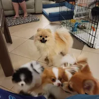 processed/8d0ebe5d-641e-44bb-8703-560f87e5c454/facility/07e3ba1d-7bd4-42b5-b4c2-2e15039d53e8