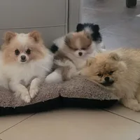 processed/8d0ebe5d-641e-44bb-8703-560f87e5c454/facility/127d90a8-c851-47a0-8b15-da0ae69b90ed