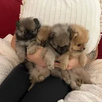 processed/8d0ebe5d-641e-44bb-8703-560f87e5c454/facility/44ded5bd-2880-4cc7-ad1d-b97f7de88fec