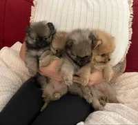 processed/8d0ebe5d-641e-44bb-8703-560f87e5c454/facility/44ded5bd-2880-4cc7-ad1d-b97f7de88fec