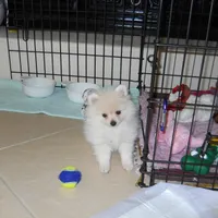 processed/8d0ebe5d-641e-44bb-8703-560f87e5c454/facility/6a6bdf6a-2fb7-49dc-b4b9-7d70ab570bcc