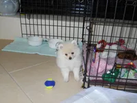 processed/8d0ebe5d-641e-44bb-8703-560f87e5c454/facility/6a6bdf6a-2fb7-49dc-b4b9-7d70ab570bcc