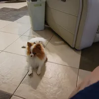 processed/8d0ebe5d-641e-44bb-8703-560f87e5c454/facility/7ec7a22e-b0ad-4c1d-b581-6b235789288f