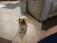 processed/8d0ebe5d-641e-44bb-8703-560f87e5c454/facility/7ec7a22e-b0ad-4c1d-b581-6b235789288f