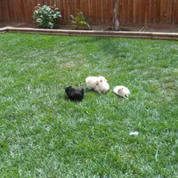 processed/8d0ebe5d-641e-44bb-8703-560f87e5c454/facility/9e9fd8b8-6e6b-4ff5-b288-4e7e7991f6cc