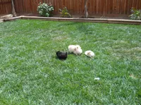 processed/8d0ebe5d-641e-44bb-8703-560f87e5c454/facility/9e9fd8b8-6e6b-4ff5-b288-4e7e7991f6cc