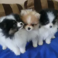 processed/8d0ebe5d-641e-44bb-8703-560f87e5c454/facility/a562d1a1-fd55-4b4a-b523-ee8b1c0abb21