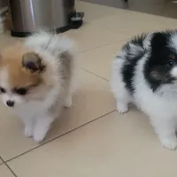 processed/8d0ebe5d-641e-44bb-8703-560f87e5c454/facility/c5bef1b3-94e5-48ec-b7b5-0a320e2e8a37