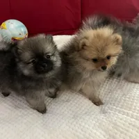 processed/8d0ebe5d-641e-44bb-8703-560f87e5c454/facility/cdfc28c3-d1d9-40d7-8ece-4534dc2a6c62