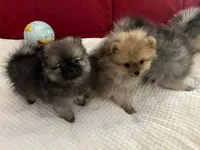 processed/8d0ebe5d-641e-44bb-8703-560f87e5c454/facility/cdfc28c3-d1d9-40d7-8ece-4534dc2a6c62