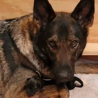 processed/8d14e83d-7a64-4135-90e9-f5aaf3f9373e/facility/01bda882-10ba-4be2-988f-62adc9357149