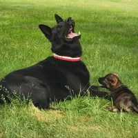 processed/8d14e83d-7a64-4135-90e9-f5aaf3f9373e/facility/24b5cded-5da6-4713-a8ef-fa3e00b938f8