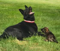 processed/8d14e83d-7a64-4135-90e9-f5aaf3f9373e/facility/24b5cded-5da6-4713-a8ef-fa3e00b938f8