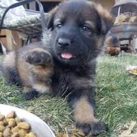 processed/8d14e83d-7a64-4135-90e9-f5aaf3f9373e/facility/3096b6dc-dbfe-4cea-ad97-66c34d767610