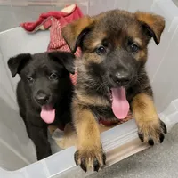 processed/8d14e83d-7a64-4135-90e9-f5aaf3f9373e/facility/4677fd33-0b33-4f1b-a549-14ec4a593c4a