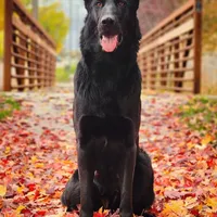 processed/8d14e83d-7a64-4135-90e9-f5aaf3f9373e/facility/66544c1e-b496-447b-9a1e-837e2bbad455