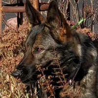 processed/8d14e83d-7a64-4135-90e9-f5aaf3f9373e/facility/9aef2f45-865f-421b-9b42-be5862c7167c