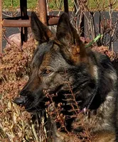 processed/8d14e83d-7a64-4135-90e9-f5aaf3f9373e/facility/9aef2f45-865f-421b-9b42-be5862c7167c