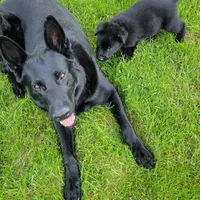 processed/8d14e83d-7a64-4135-90e9-f5aaf3f9373e/facility/c1468997-f0cf-4fde-98dc-ff74185a89b7