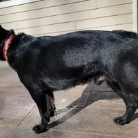 processed/8d14e83d-7a64-4135-90e9-f5aaf3f9373e/facility/e224fbe3-bee4-47a4-a05d-0196e7e7c9e3