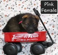 processed/8d14e83d-7a64-4135-90e9-f5aaf3f9373e/listing/06d0007d-a51d-431c-945e-fb8ac8900d2f/a269ba94-c049-4f9f-b8c7-14de572bd72b