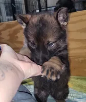 processed/8d14e83d-7a64-4135-90e9-f5aaf3f9373e/listing/06d0007d-a51d-431c-945e-fb8ac8900d2f/c578e59e-8196-466d-920b-2de2b40faea9