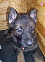 processed/8d14e83d-7a64-4135-90e9-f5aaf3f9373e/listing/06d0007d-a51d-431c-945e-fb8ac8900d2f/de5a9db9-85fd-4912-8fb3-c33ea266a918