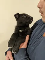 processed/8d1775de-4f17-4ecc-9a56-0c31fc90af42/listing/4fcde5e8-c40d-4854-92d8-f57916dcfccf/94c2e528-a9d9-4c45-a8ad-300983ddeec7