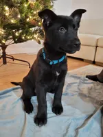 processed/8d1775de-4f17-4ecc-9a56-0c31fc90af42/listing/5f93ec0d-5c30-44ee-814c-2f9fe8c924fe/233fd3f6-747d-45ad-b20f-1eeecb75efec