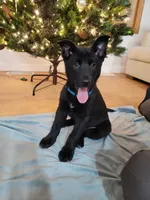 processed/8d1775de-4f17-4ecc-9a56-0c31fc90af42/listing/5f93ec0d-5c30-44ee-814c-2f9fe8c924fe/7e6b76d3-d13e-445b-a8b9-2d9e739fd74e