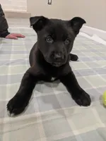 processed/8d1775de-4f17-4ecc-9a56-0c31fc90af42/listing/5f93ec0d-5c30-44ee-814c-2f9fe8c924fe/a389fb3c-153e-4a4d-a938-a1185b9313d0