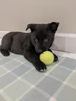 processed/8d1775de-4f17-4ecc-9a56-0c31fc90af42/listing/5f93ec0d-5c30-44ee-814c-2f9fe8c924fe/f0f422d8-b519-4676-9d42-d0ab5667c9af