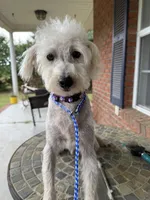 processed/8d2426cb-d99d-4b0a-9e18-941eae0fc5aa/listing/039bd5bf-f7a6-4470-b26e-47dbc24043a1/a04ea416-27b2-4cbc-b3eb-29331ab74bad