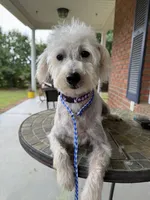 processed/8d2426cb-d99d-4b0a-9e18-941eae0fc5aa/listing/039bd5bf-f7a6-4470-b26e-47dbc24043a1/a7c62243-20df-4a46-b1ca-c09560cf9dcd