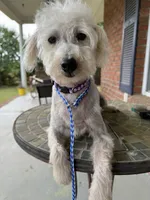 processed/8d2426cb-d99d-4b0a-9e18-941eae0fc5aa/listing/039bd5bf-f7a6-4470-b26e-47dbc24043a1/e0f0af9d-5b51-4eb9-a651-0d2413bdbc53