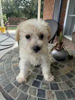 processed/8d2426cb-d99d-4b0a-9e18-941eae0fc5aa/listing/84ab8eb6-cb3a-46cd-93ed-c69ecf02a870/446ec144-c0af-4a31-b67f-dbc51a491bfc