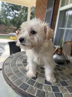 processed/8d2426cb-d99d-4b0a-9e18-941eae0fc5aa/listing/84ab8eb6-cb3a-46cd-93ed-c69ecf02a870/d5524085-fe3b-4449-ba3a-5d337d642518