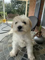 processed/8d2426cb-d99d-4b0a-9e18-941eae0fc5aa/listing/84ab8eb6-cb3a-46cd-93ed-c69ecf02a870/f1a6f1dc-15c0-409a-8a5b-10562e905fcf