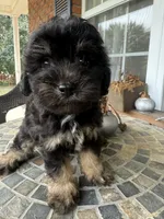 processed/8d2426cb-d99d-4b0a-9e18-941eae0fc5aa/listing/a772ab28-dec7-4301-bf2d-4b8fe2e52878/00af3aa3-8738-4798-b6bc-48761fc079ef