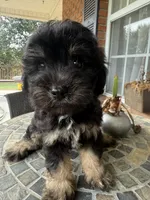 processed/8d2426cb-d99d-4b0a-9e18-941eae0fc5aa/listing/a772ab28-dec7-4301-bf2d-4b8fe2e52878/011c2111-5033-4d8c-81bc-a0e68e1daa78