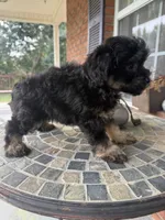 processed/8d2426cb-d99d-4b0a-9e18-941eae0fc5aa/listing/a772ab28-dec7-4301-bf2d-4b8fe2e52878/69091283-bc63-4182-b92d-a51dc32c222d