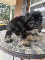 processed/8d2426cb-d99d-4b0a-9e18-941eae0fc5aa/listing/a772ab28-dec7-4301-bf2d-4b8fe2e52878/9954e431-74c0-44d1-804f-52c535fe39e1